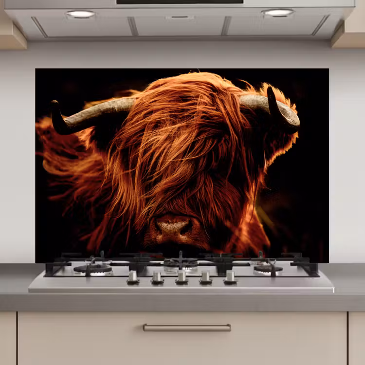 Schotse hooglander - Koe - Hoorns - Portret - Dieren keuken achterwand spatscherm klein -3d_website