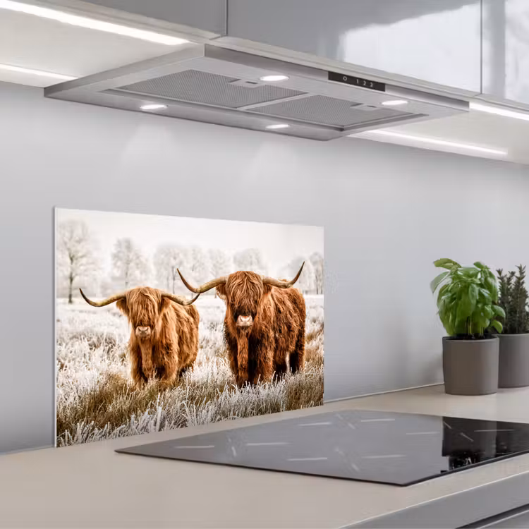Schotse hooglander - Koe - Natuur - Winter keuken achterwand spatscherm klein -3d_schuin