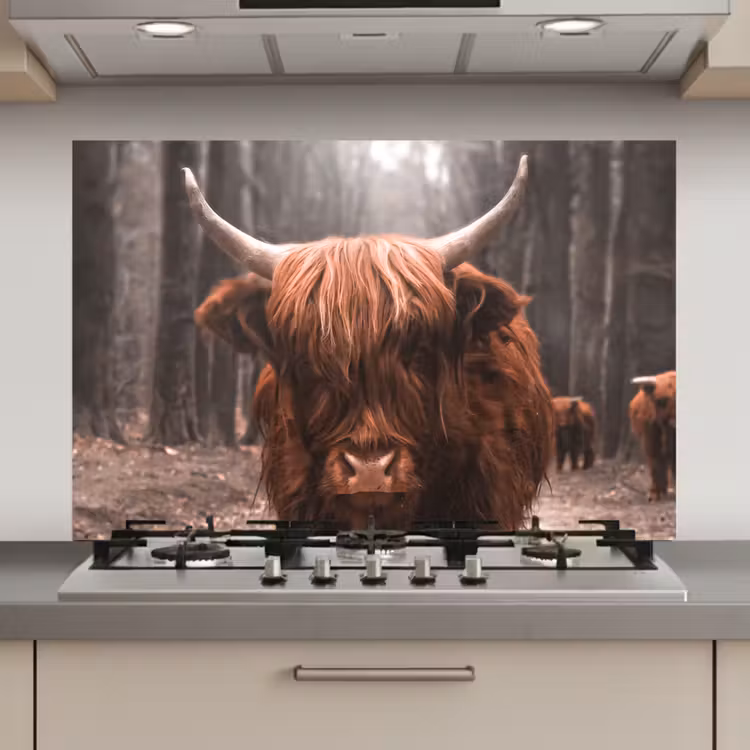 Schotse hooglander - Bos - Koe - Dieren - Natuur keuken achterwand spatscherm klein -3d_website