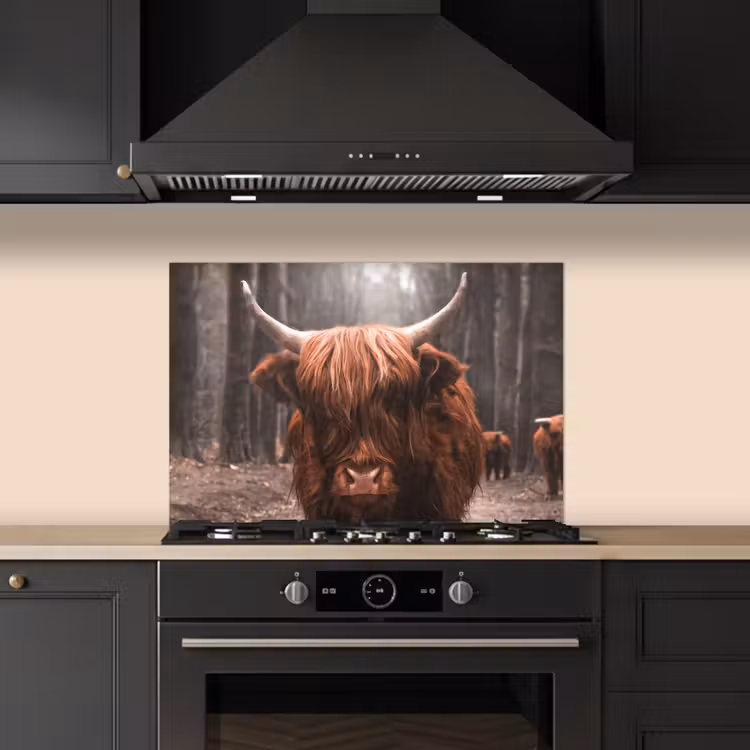 Schotse hooglander - Bos - Koe - Dieren - Natuur keuken achterwand spatscherm klein -sfeer1