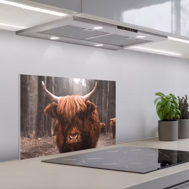 Schotse hooglander - Bos - Koe - Dieren - Natuur keuken achterwand spatscherm klein -3d_schuin