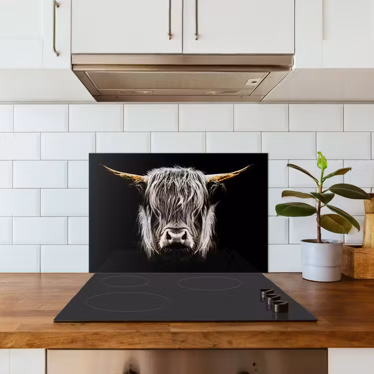 Schotse hooglander - Goud - Hoorns - Zwart wit - Koe - Dieren keuken achterwand spatscherm klein -sfeer2