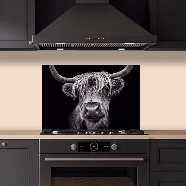 Schotse Hooglander - Horens - Zwart - Wit - Koe - Wild - Dieren keuken achterwand spatscherm klein -sfeer1