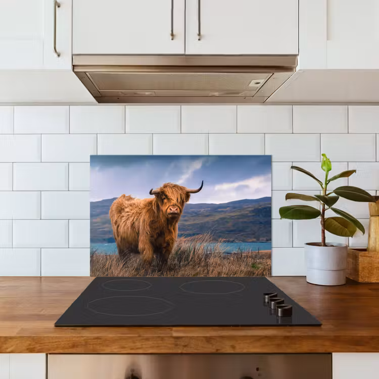 Schotse Hooglander - Berg - Water - Natuur - Koe keuken achterwand spatscherm klein -sfeer2