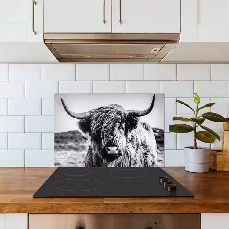 Schotse hooglander - Natuur - Koe - Zwart - Wit keuken achterwand spatscherm klein -sfeer2