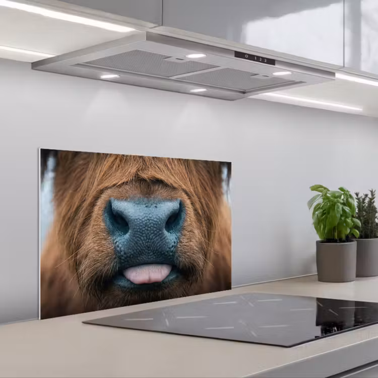 Schotse hooglander - Neus - Bruin keuken achterwand spatscherm klein -3d_schuin
