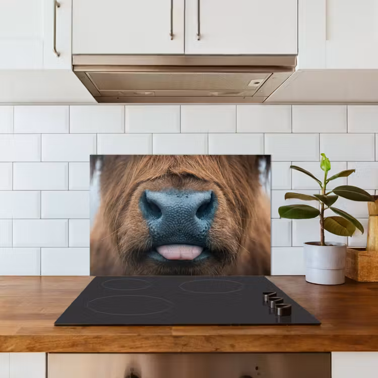 Schotse hooglander - Neus - Bruin keuken achterwand spatscherm klein -sfeer2