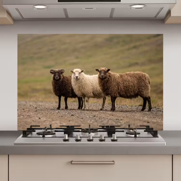Schapen - Bruin - Wit - Grindpad keuken achterwand spatscherm klein -3d_website