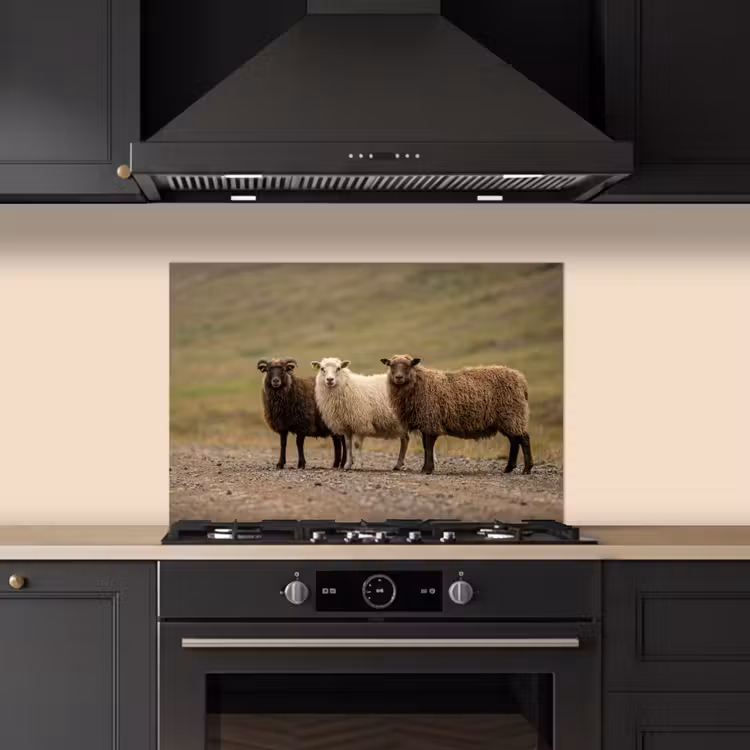 Schapen - Bruin - Wit - Grindpad keuken achterwand spatscherm klein -sfeer1