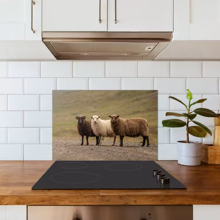 Schapen - Bruin - Wit - Grindpad keuken achterwand spatscherm klein -sfeer2