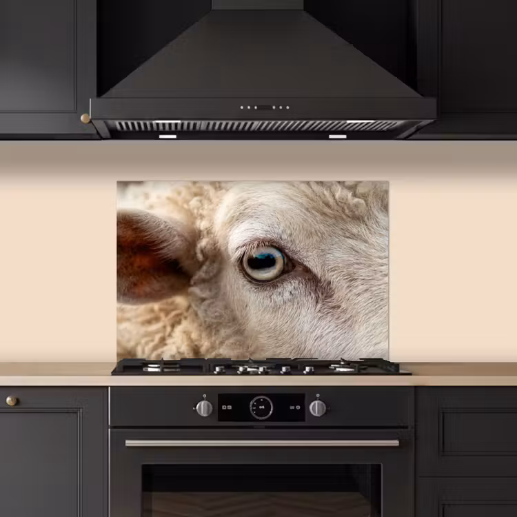 Schaap - Oog - Wit keuken achterwand spatscherm klein -sfeer1