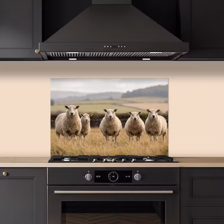 Schapen - Weidenlandschap - Heuvels keuken achterwand spatscherm klein -sfeer1
