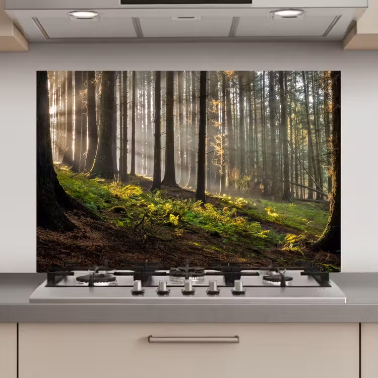 Zon - Takken - Bomen - Bos - Natuur keuken achterwand spatscherm klein -3d_website