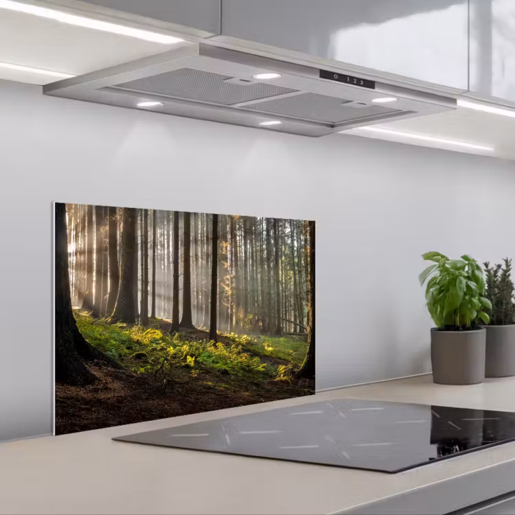 Zon - Takken - Bomen - Bos - Natuur keuken achterwand spatscherm klein -3d_schuin