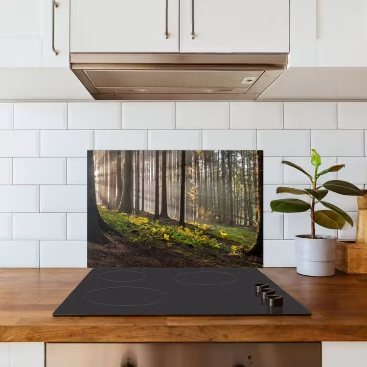 Zon - Takken - Bomen - Bos - Natuur keuken achterwand spatscherm klein -sfeer2
