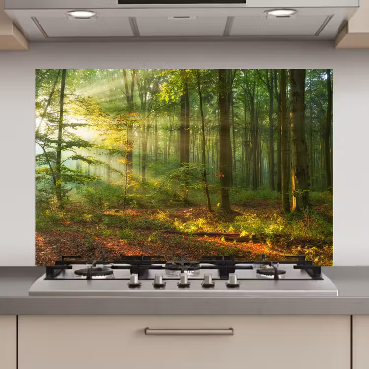 Zon - Bos - Bomen - Natuur - Herfst keuken achterwand spatscherm klein -3d_website