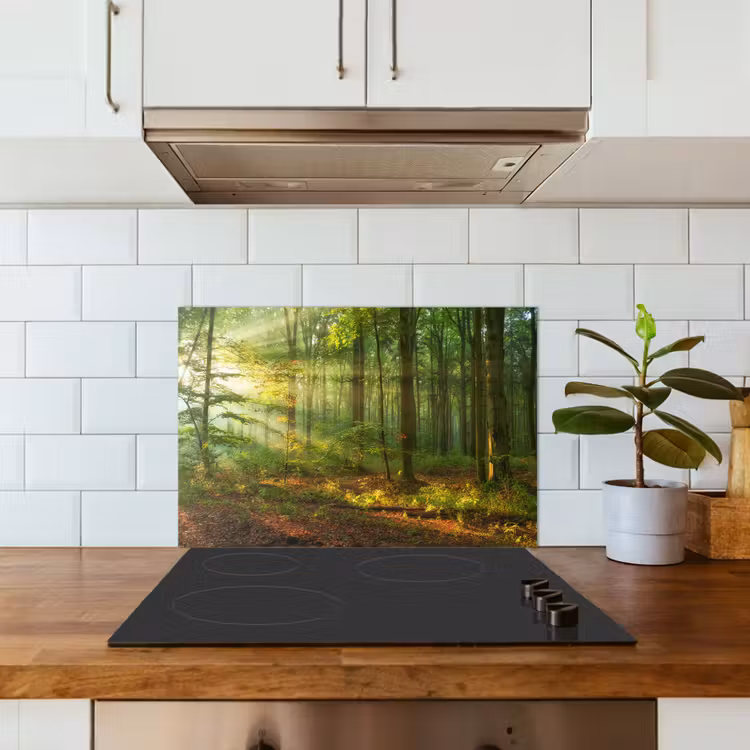 Zon - Bos - Bomen - Natuur - Herfst keuken achterwand spatscherm klein -sfeer2