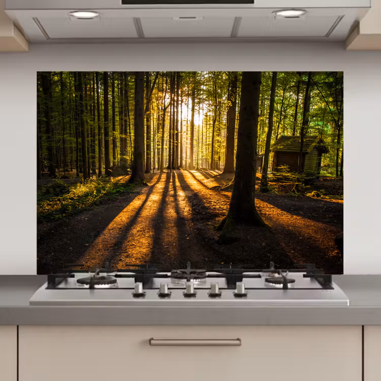 Zon - Bomen - Bos - Landschap - Natuur keuken achterwand spatscherm klein -3d_website