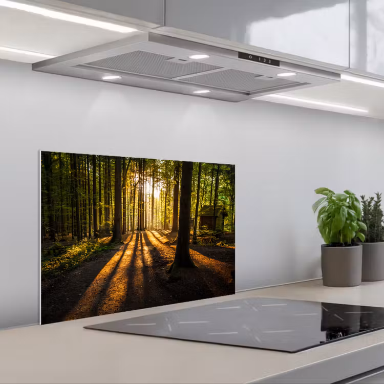 Zon - Bomen - Bos - Landschap - Natuur keuken achterwand spatscherm klein -3d_schuin