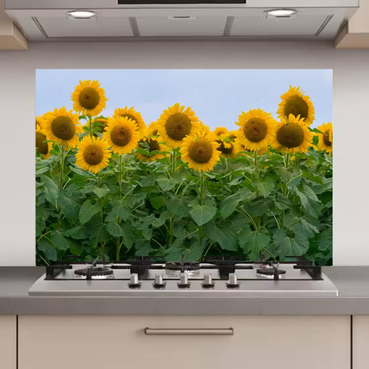 Zonnebloemen - Geel - Natuur keuken achterwand spatscherm klein -3d_website