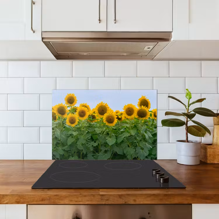 Zonnebloemen - Geel - Natuur keuken achterwand spatscherm klein -sfeer2
