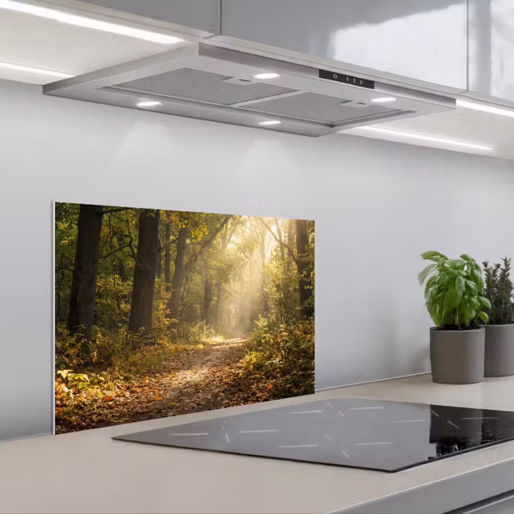 Zonlicht - Bospad - Bomen keuken achterwand spatscherm klein -3d_schuin
