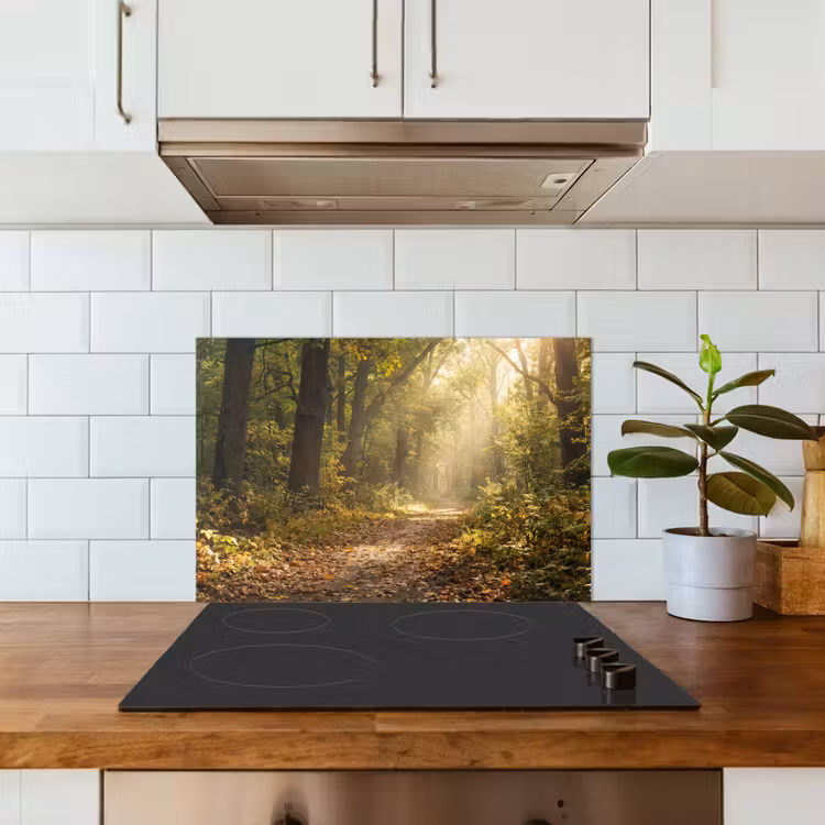 Zonlicht - Bospad - Bomen keuken achterwand spatscherm klein -sfeer2