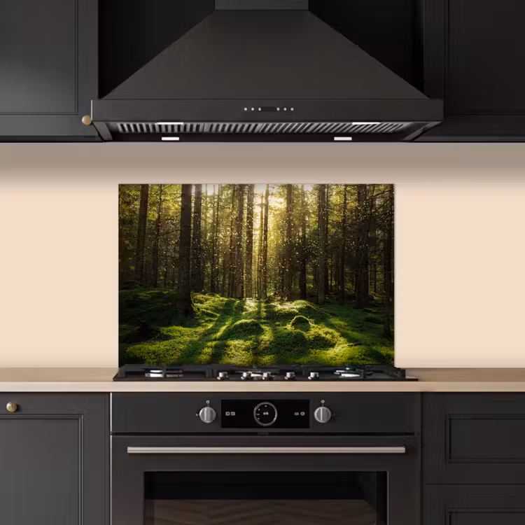 Bomen - Bos - Mos - Planten - Zon - Natuur keuken achterwand spatscherm klein -sfeer1