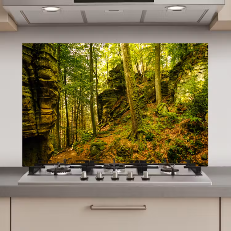 Bomen - Steen - Bos - Natuur - Planten keuken achterwand spatscherm klein -3d_website