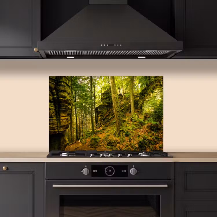 Bomen - Steen - Bos - Natuur - Planten keuken achterwand spatscherm klein -sfeer1
