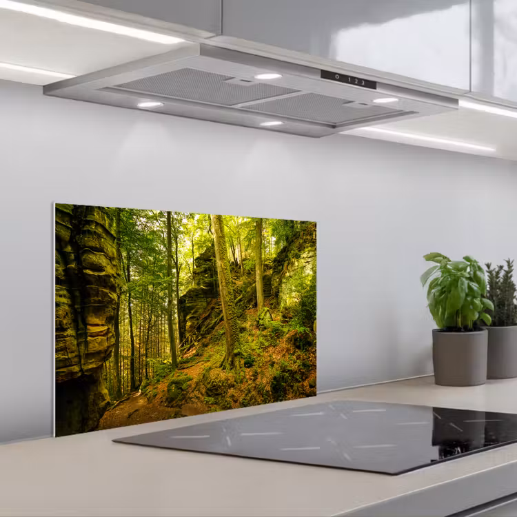 Bomen - Steen - Bos - Natuur - Planten keuken achterwand spatscherm klein -3d_schuin