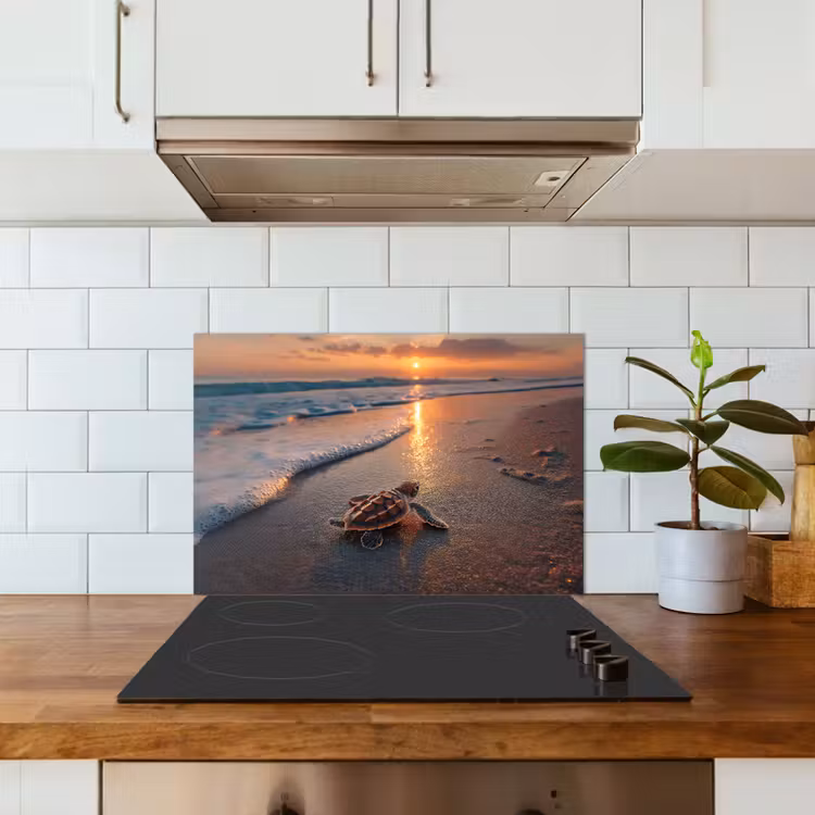 Schildpad - strand - Zonsondergang keuken achterwand spatscherm klein -sfeer2
