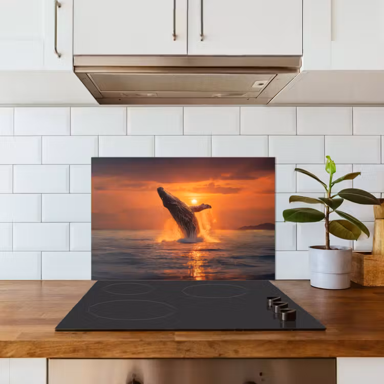 Walvis - Zon - Zee keuken achterwand spatscherm klein -sfeer2