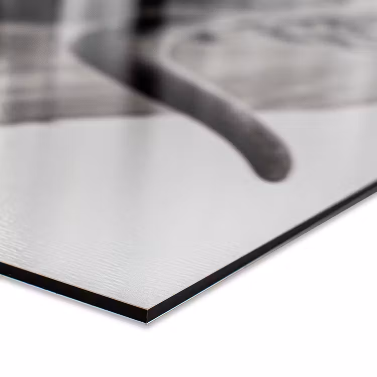 a-spatscherm-closeup-541a.png