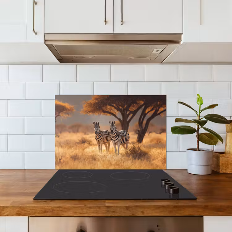 Zebra's - Savannelandschap - Gras keuken achterwand spatscherm klein -sfeer2