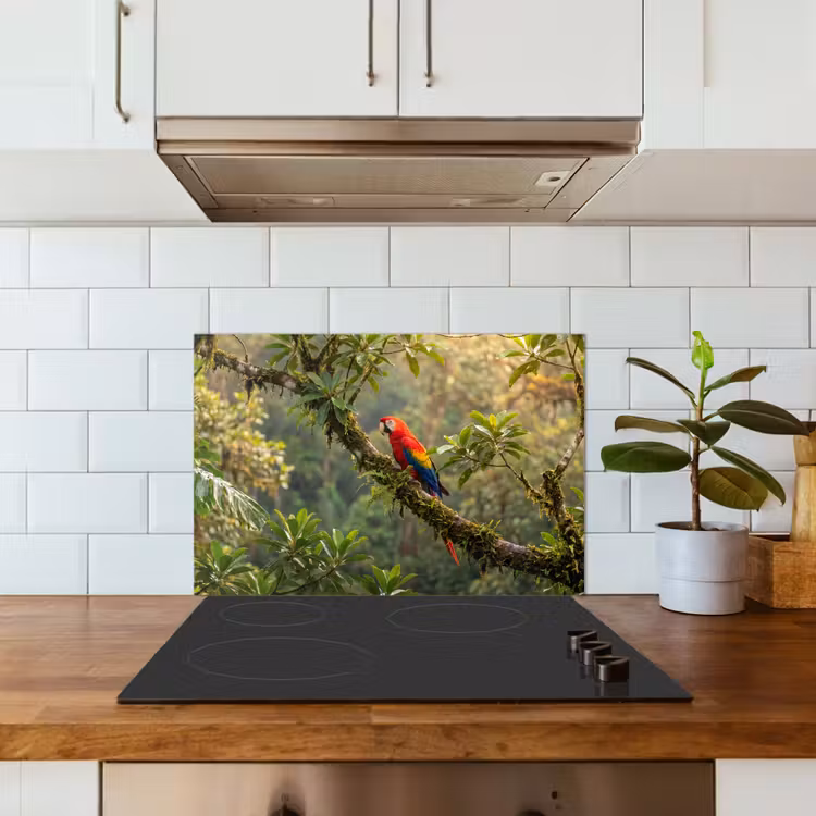 Ara - Jungle - Rood keuken achterwand 2 middel -sfeer1