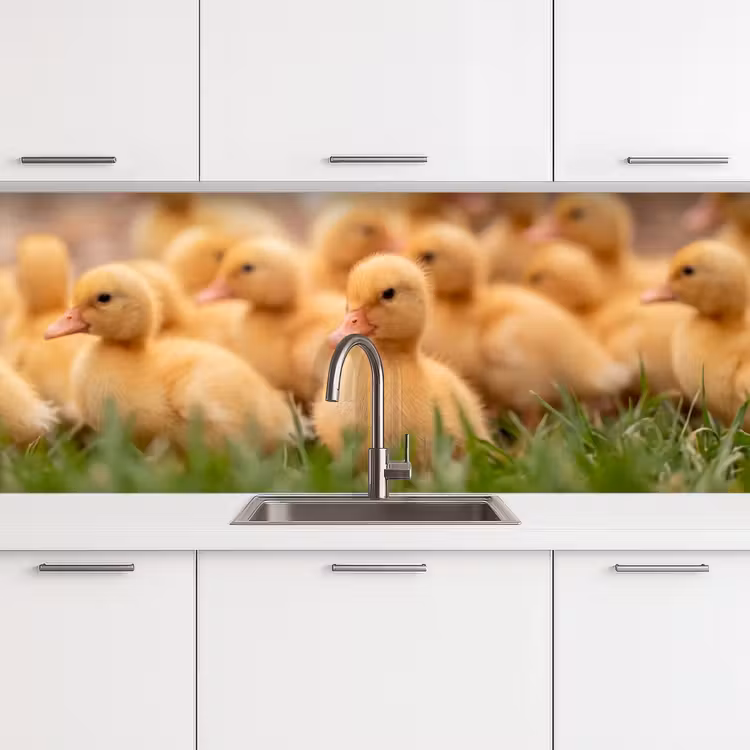 Pijltje - Eend - Natuur - Geel keuken achterwand 2 middel -3d