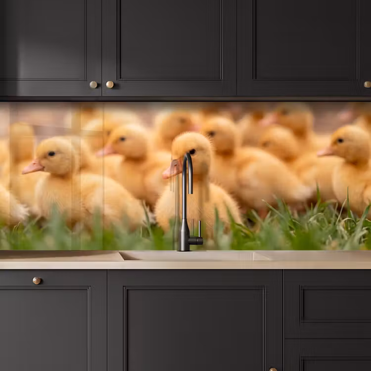Pijltje - Eend - Natuur - Geel keuken achterwand 2 middel -sfeer1