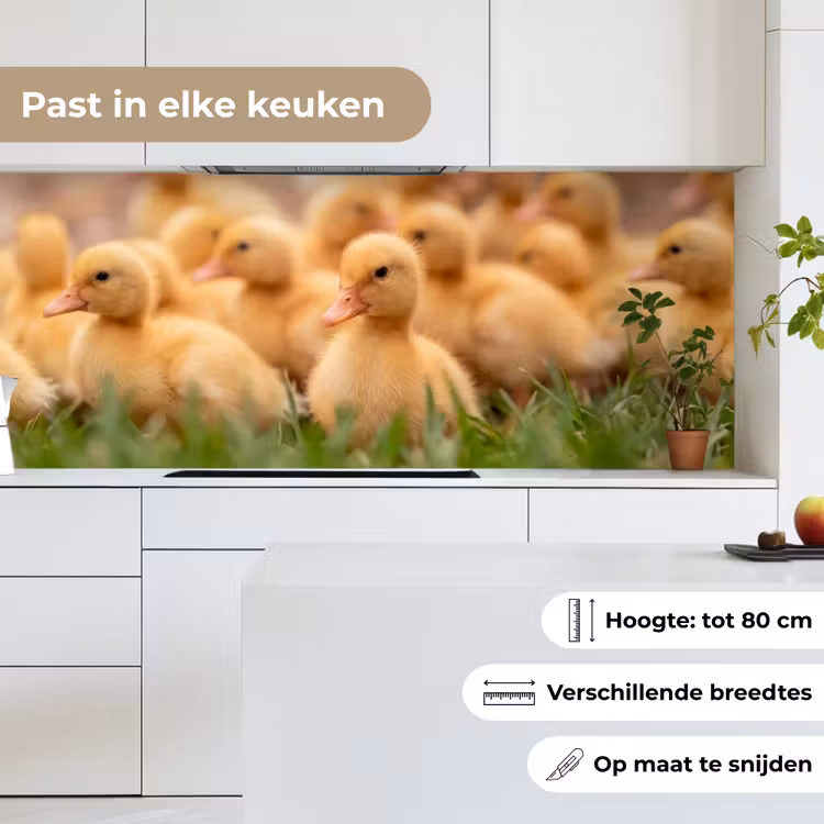 Pijltje - Eend - Natuur - Geel keuken achterwand 2 middel -sfeer4_NL