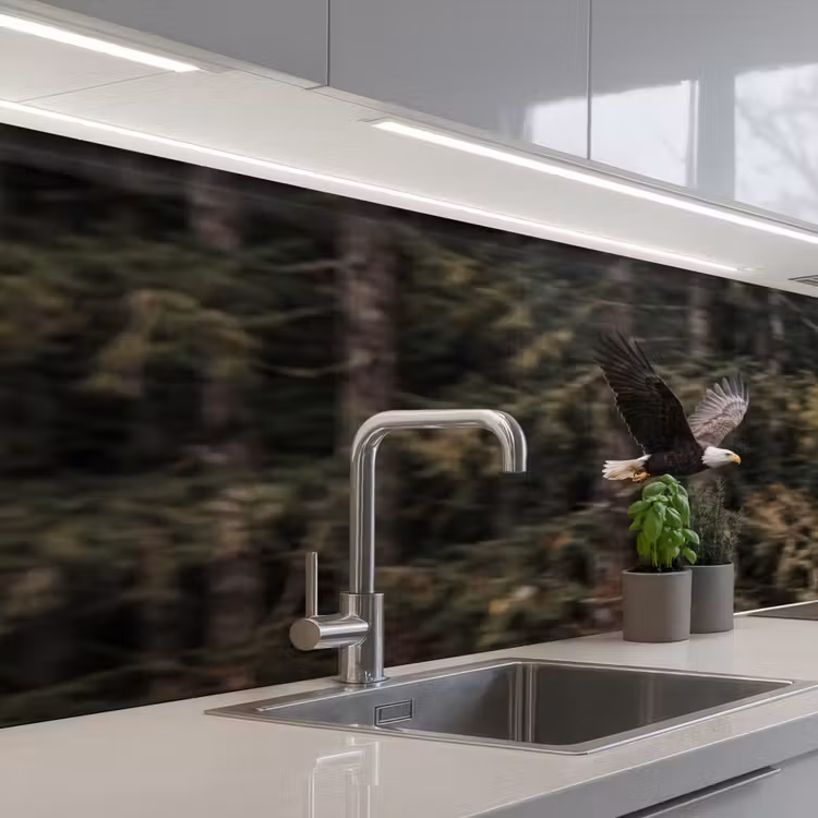 Zeearend - Vliegen - Bos - Natuur keuken achterwand 2 middel -3d_schuin