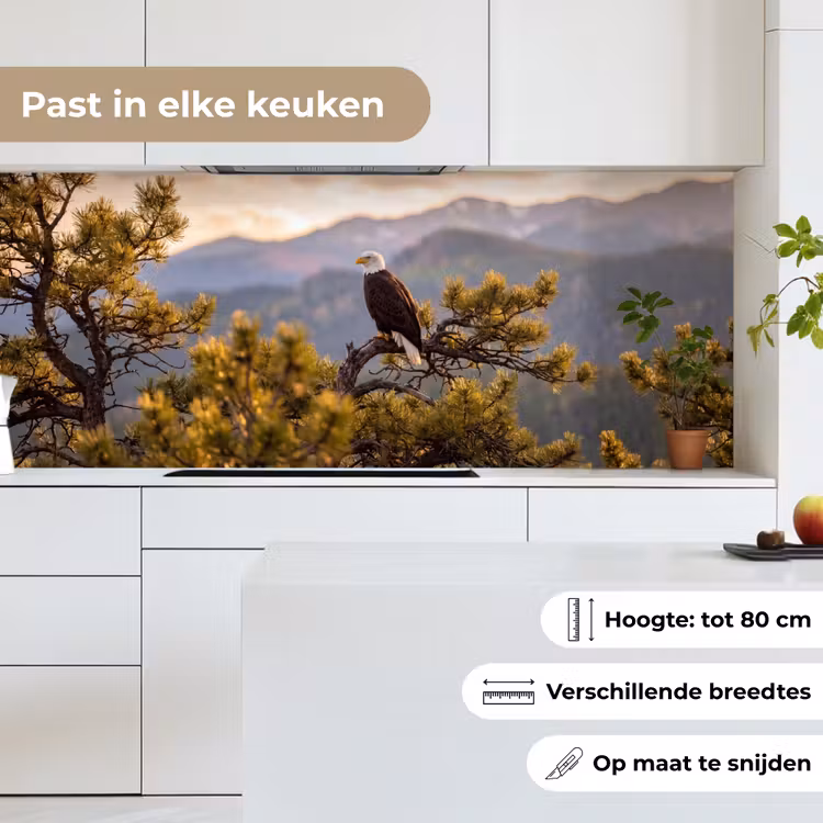 Zeearend - Boom - Bergen - Groen keuken achterwand 2 middel -sfeer4_NL