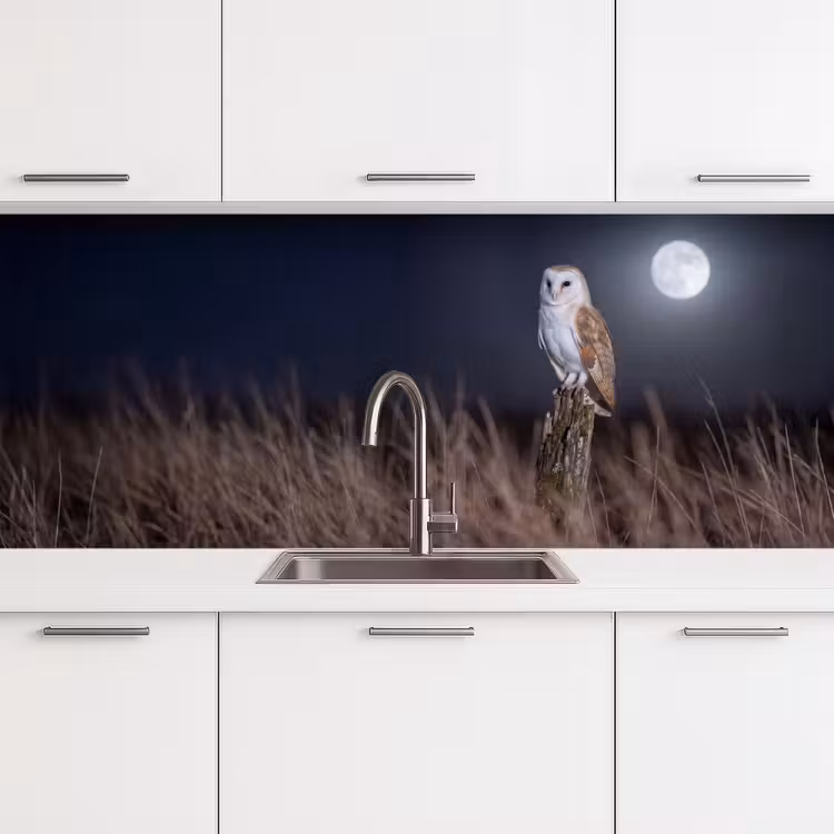 Kerkuil - Maan - Nacht keuken achterwand 2 middel -3d