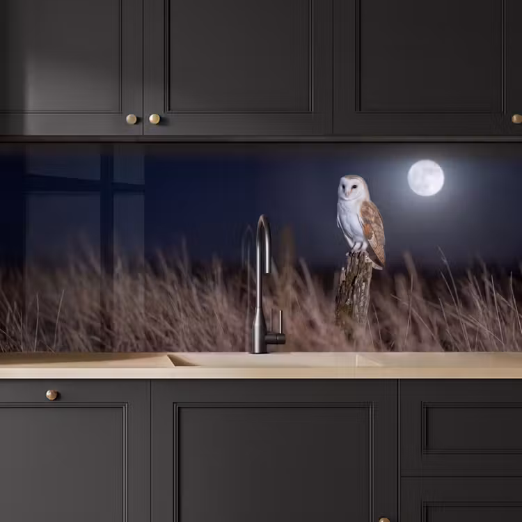 Kerkuil - Maan - Nacht keuken achterwand 2 middel -sfeer1