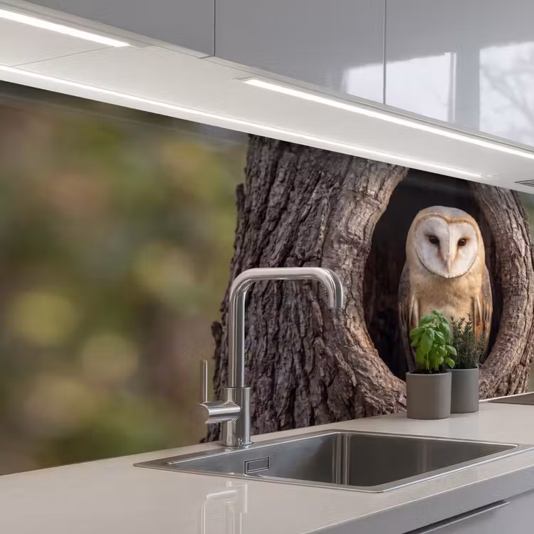 Kerkuil - Boom - Natuur - Bruin keuken achterwand 2 middel -3d_schuin