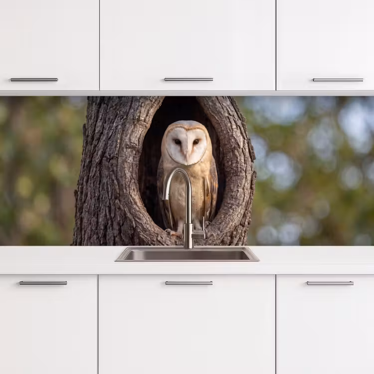 Kerkuil - Boom - Natuur - Bruin keuken achterwand 2 middel -3d
