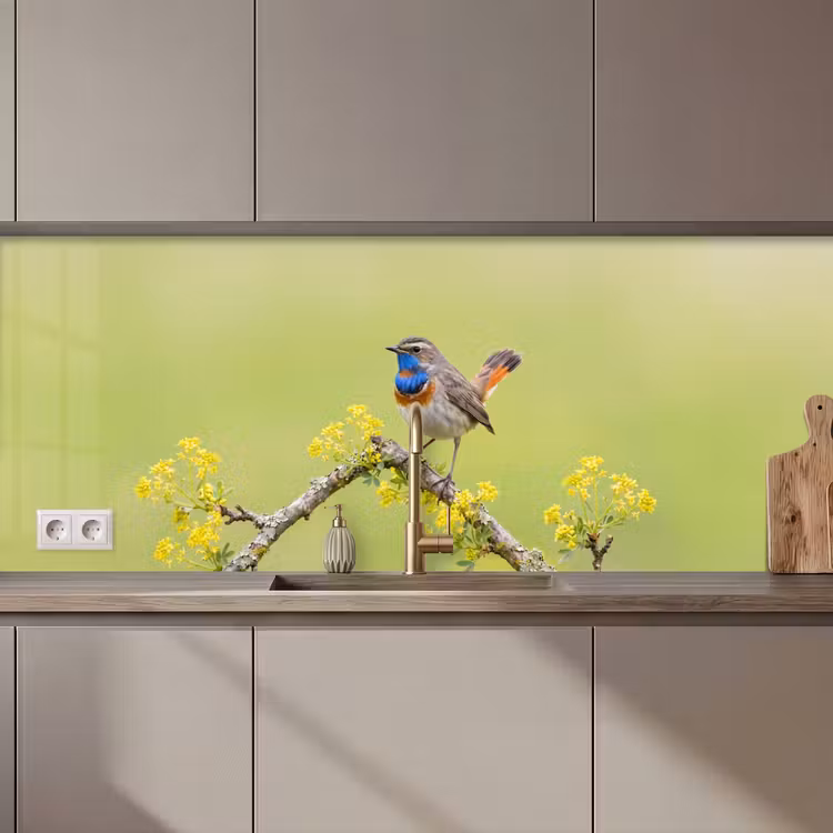 Vogel - Tak - Natuur - Kleurrijk keuken achterwand 2 middel zz_3dshopping