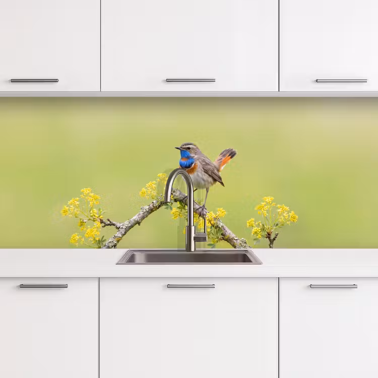 Vogel - Tak - Natuur - Kleurrijk keuken achterwand 2 middel -3d