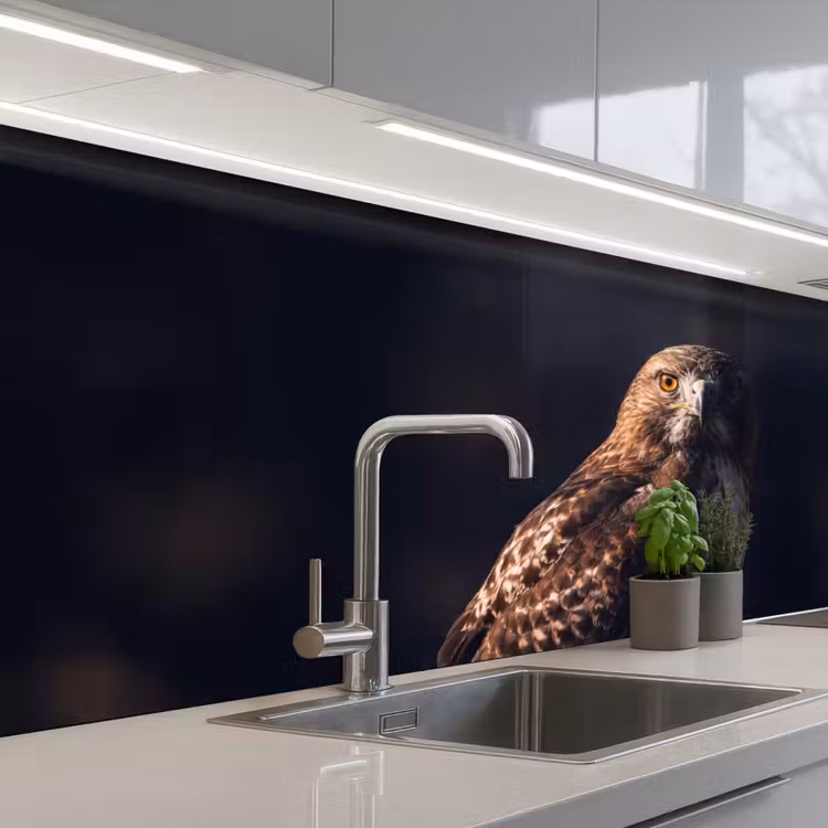Roofvogel - Buizerd - Bruin keuken achterwand 2 middel -3d_schuin