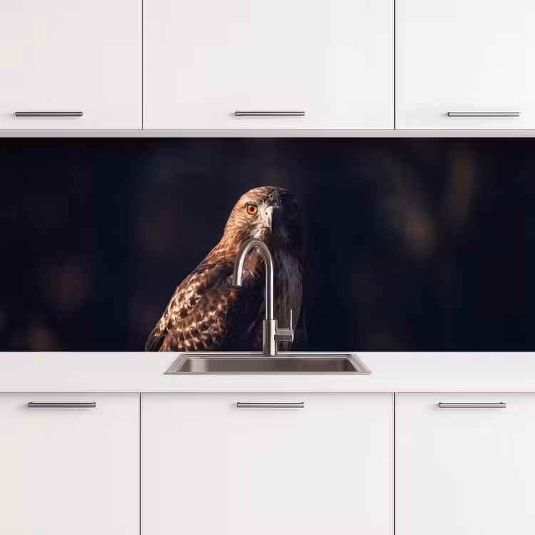 Roofvogel - Buizerd - Bruin keuken achterwand 2 middel -3d