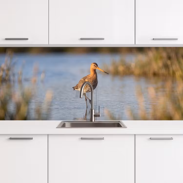 Vogel - Steltloper - Water - Natuur keuken achterwand 2 middel -3d